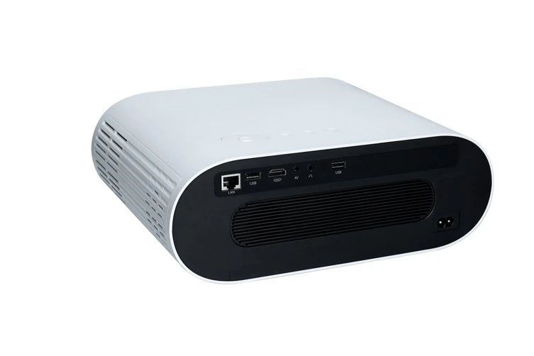 Winstyn Precision Projector